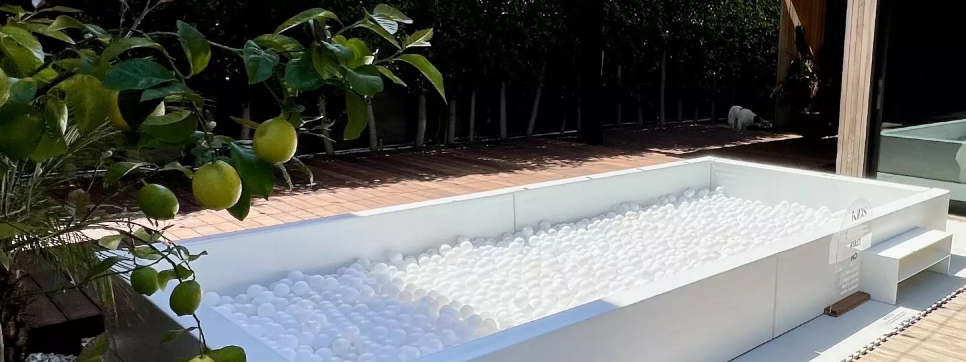 Kids Party Rentals Co. California Wedding Day